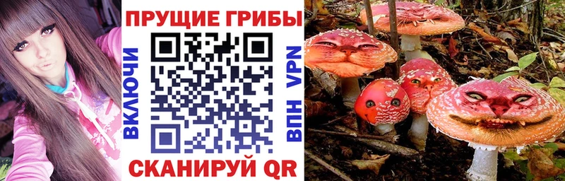 Псилоцибиновые грибы Psilocybine cubensis  хочу   Новый Уренгой 